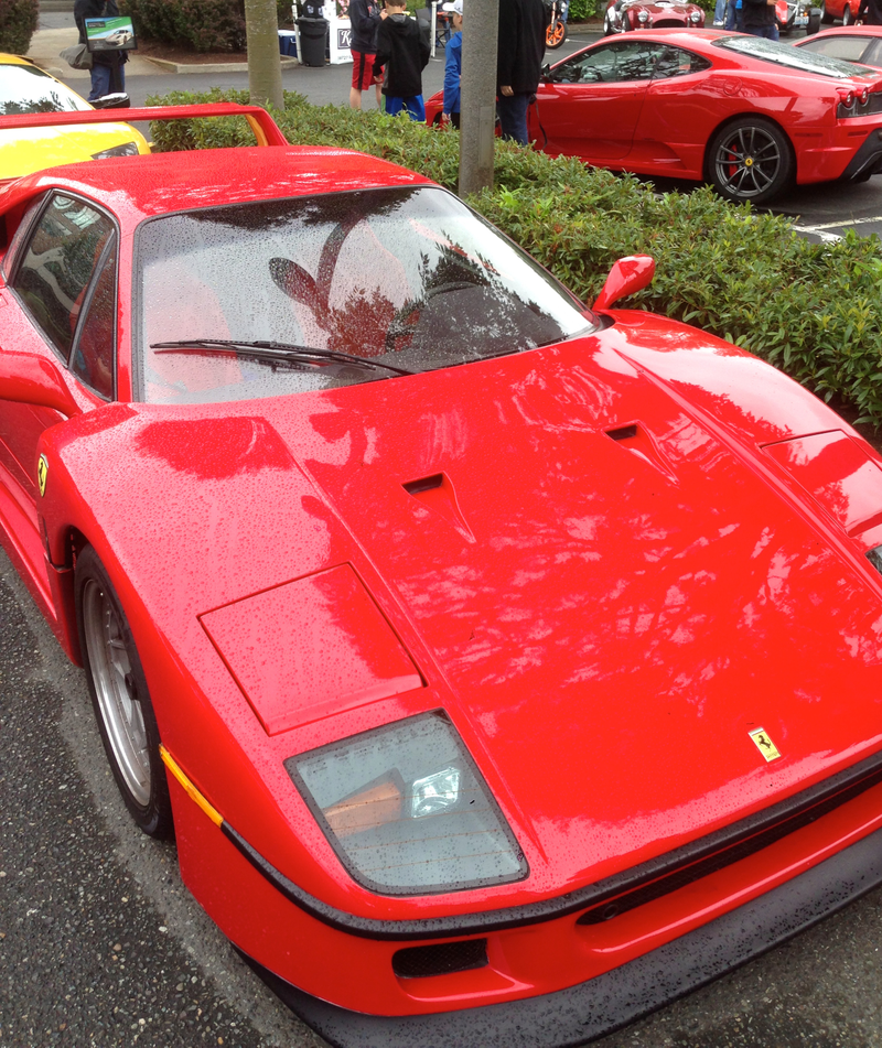 Illustration for article titled Exotics at RTC - Seattle Oppo Meet
